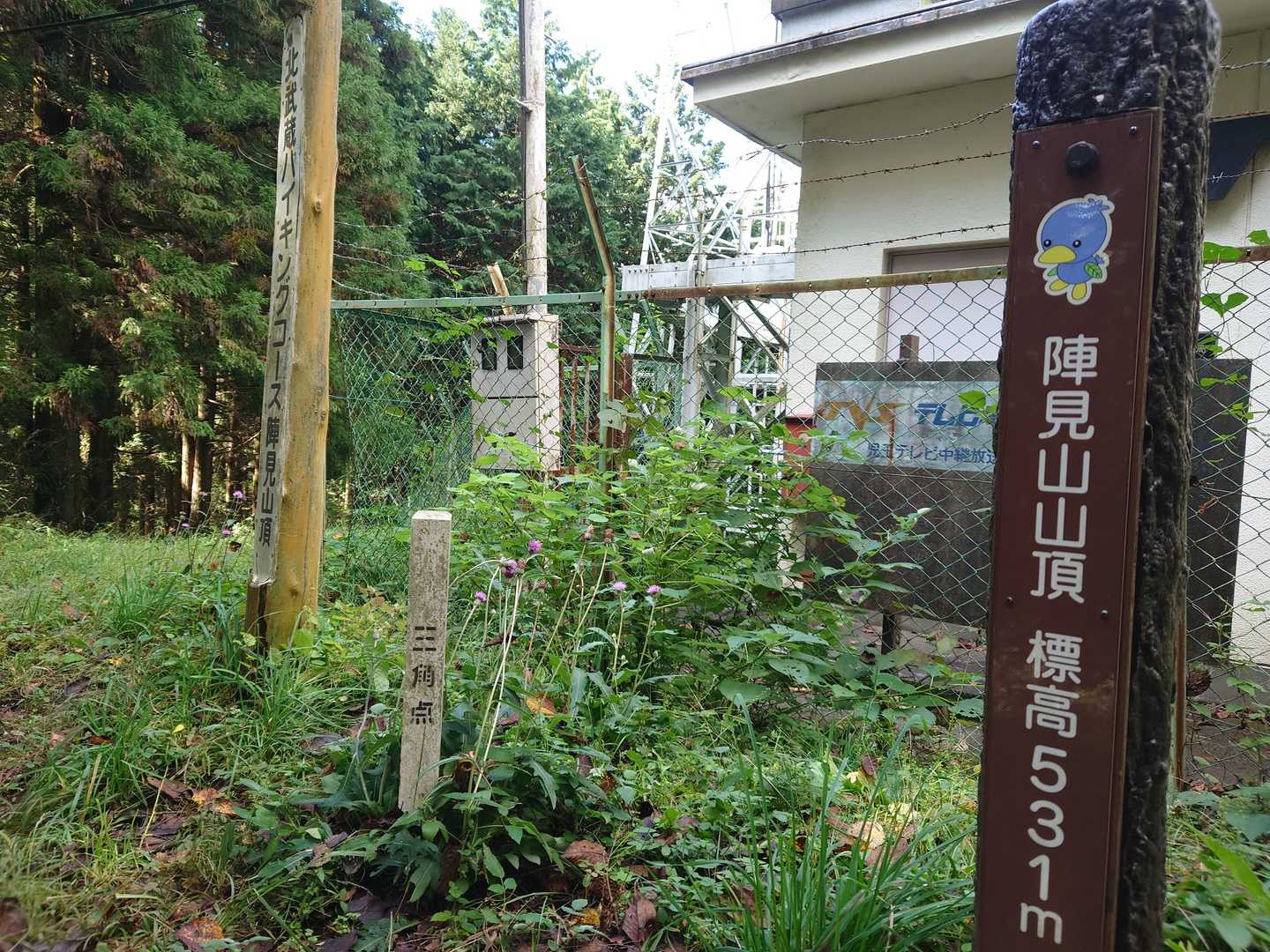 さいたまテレビの電波塔が山頂