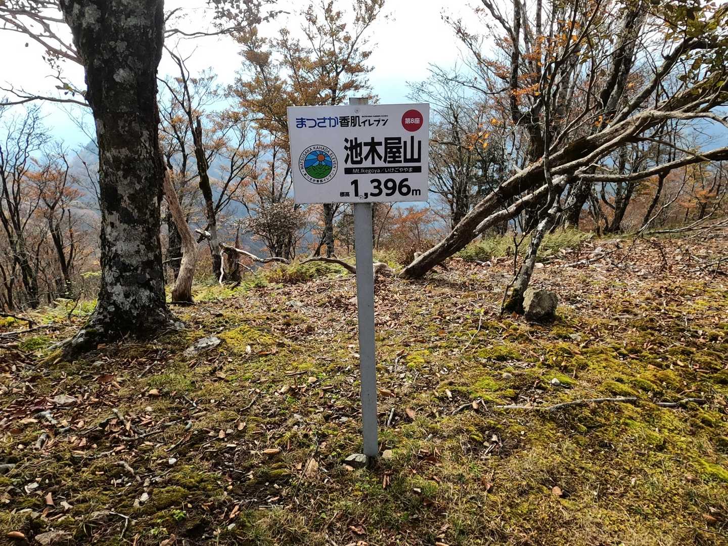 谷から尾根へと登って池木屋山に着きましたー！