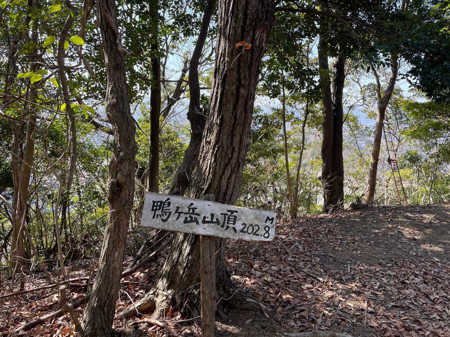 鴨ヶ岳山頂
標高202.8m