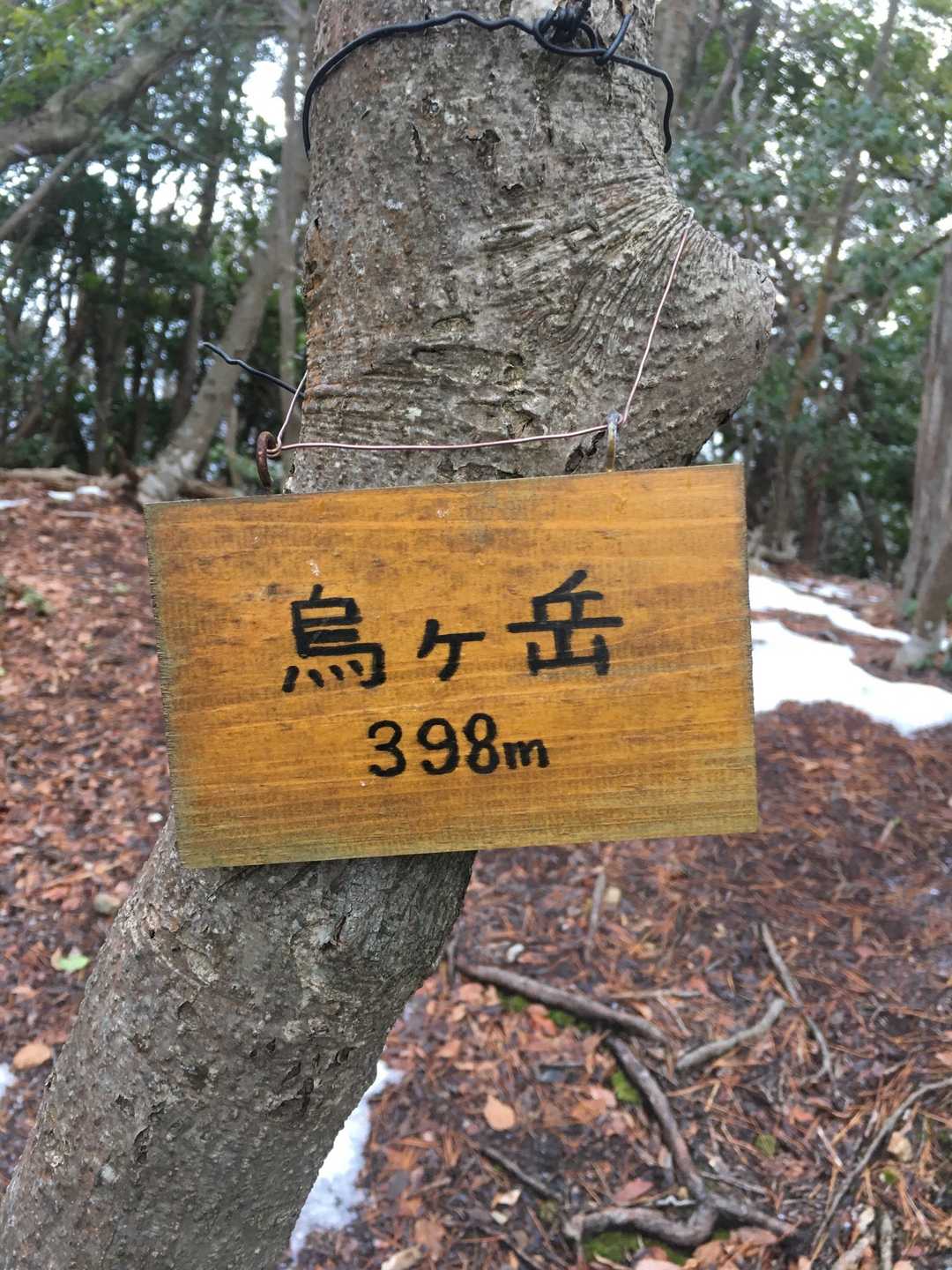 烏ヶ岳の写真