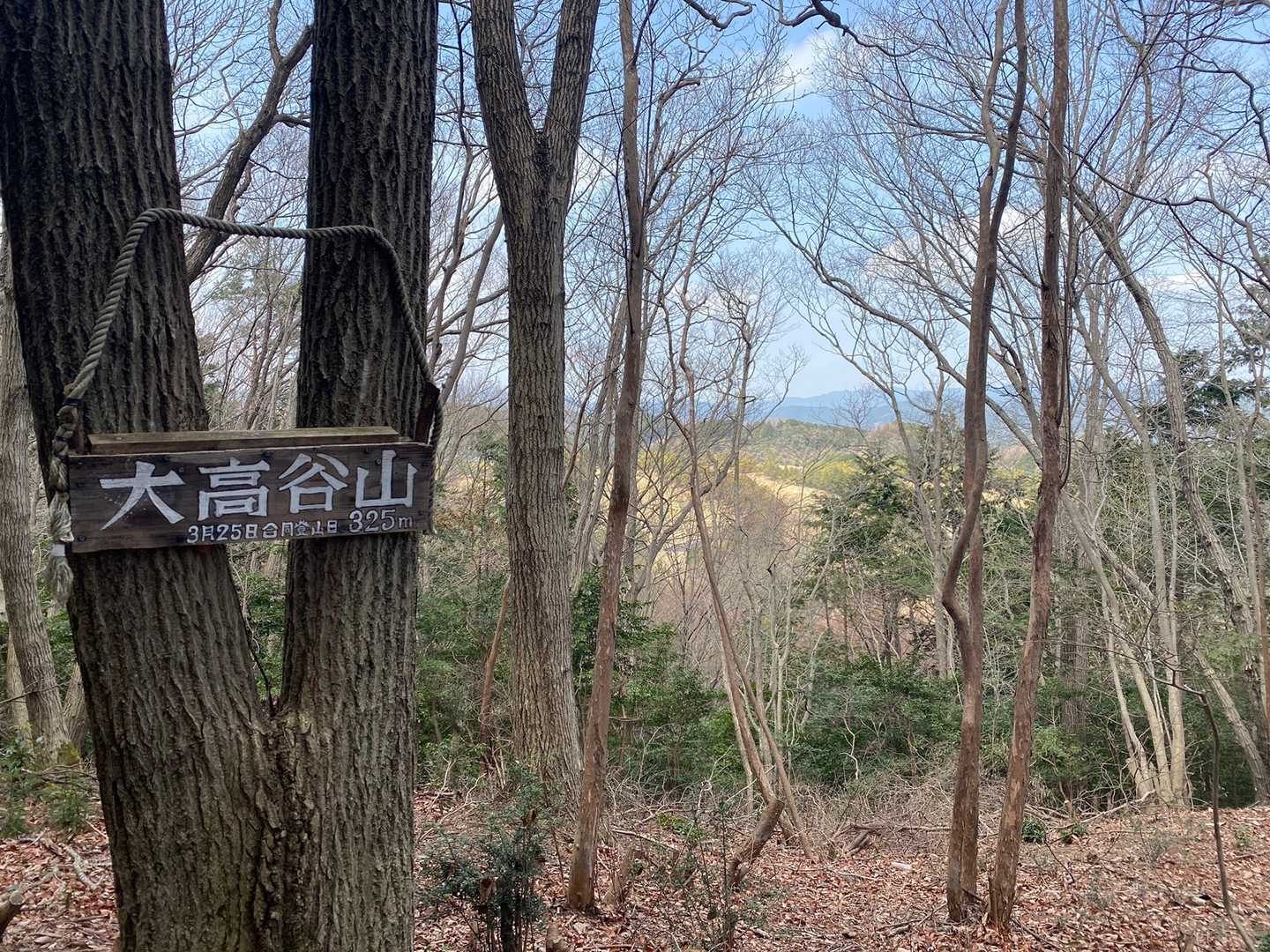 大高谷山到着
