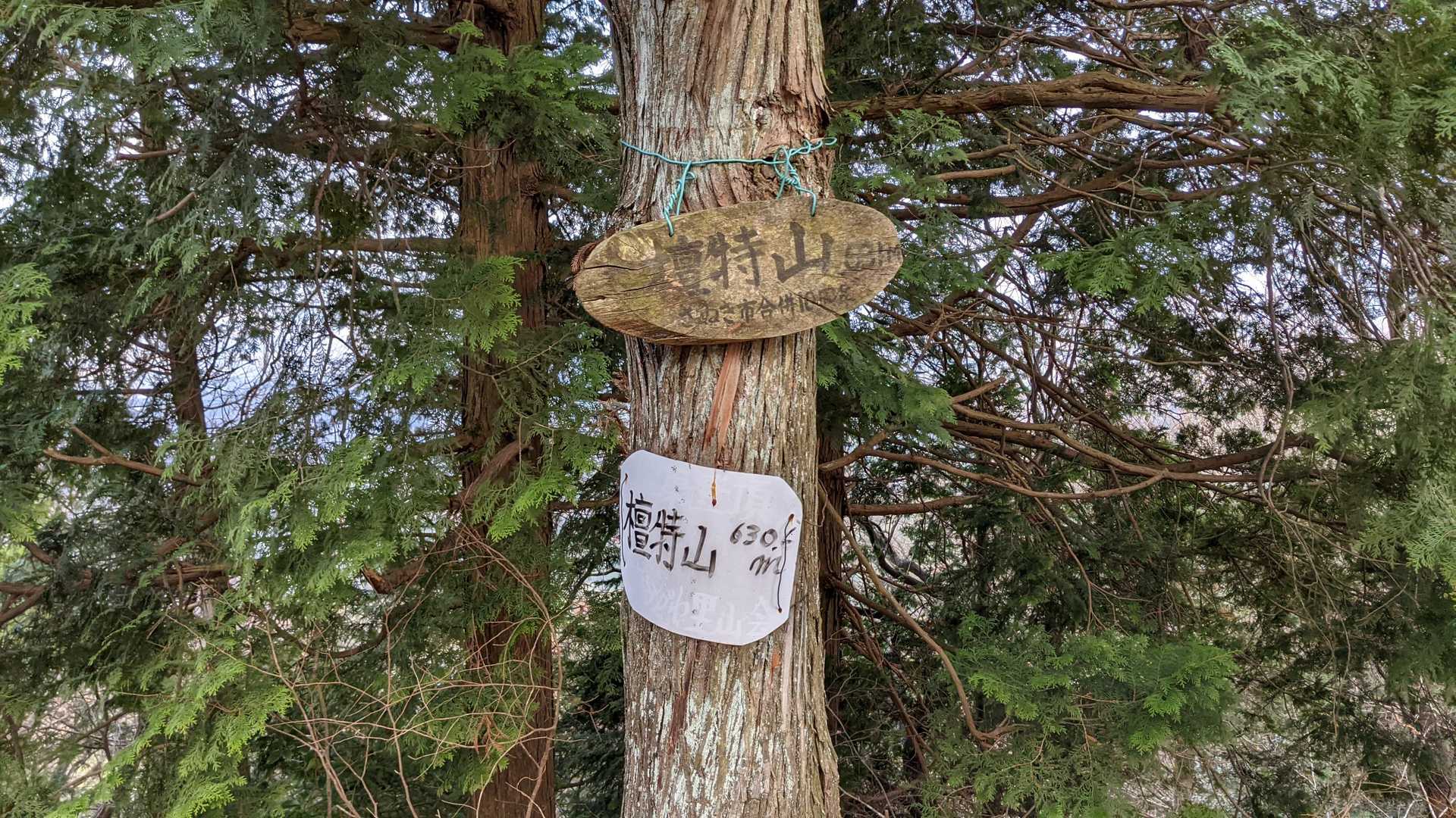 檀特山山頂