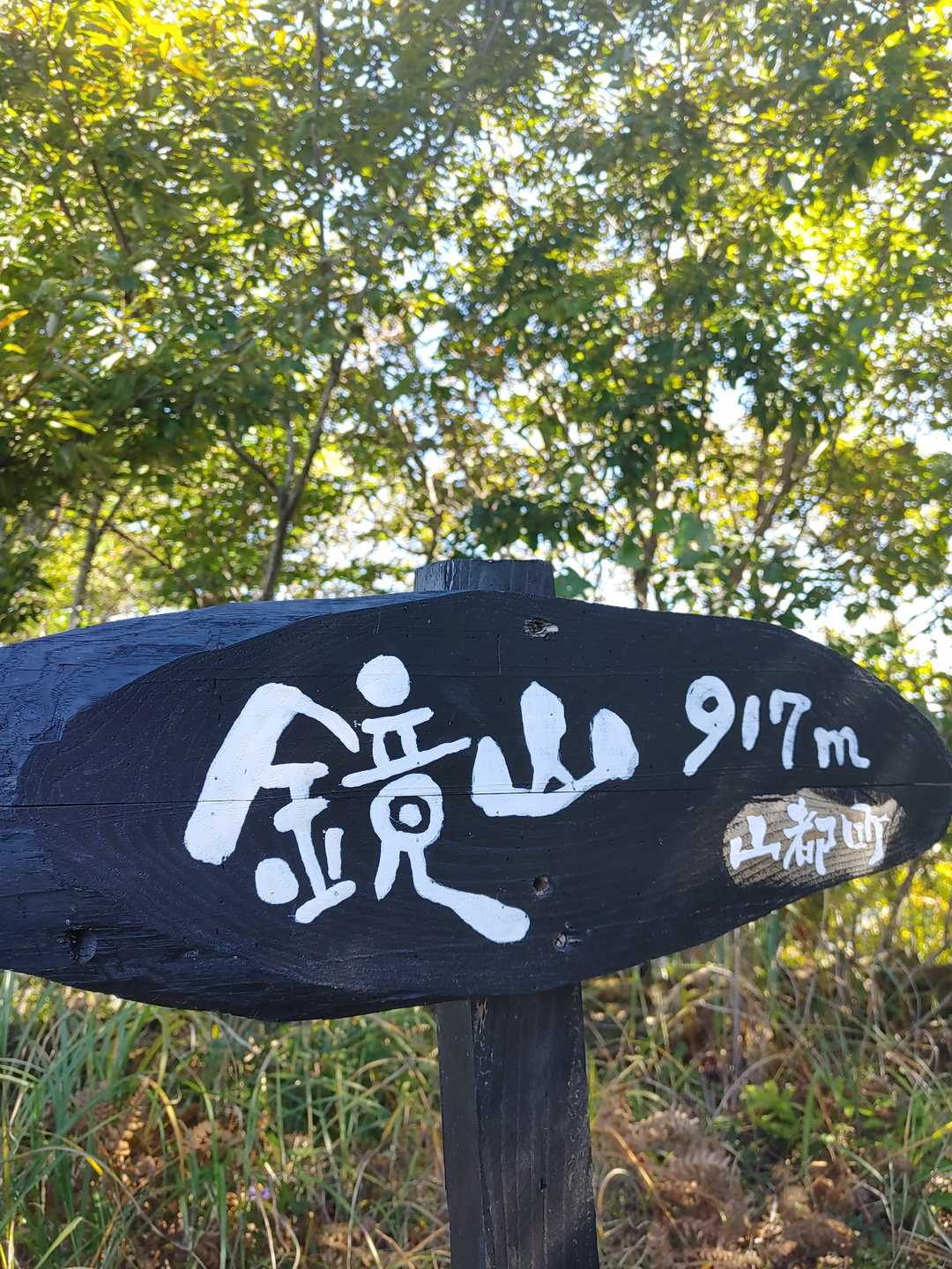 こんな書体　大好き🍀😌🍀
到着です(’-’*)♪