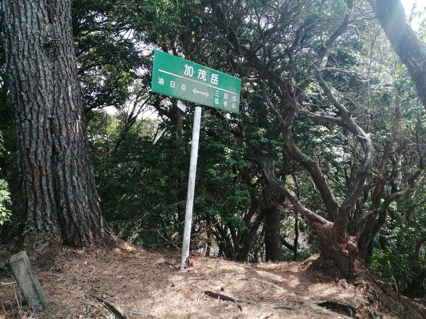 その後もいくつかピークがありますが、