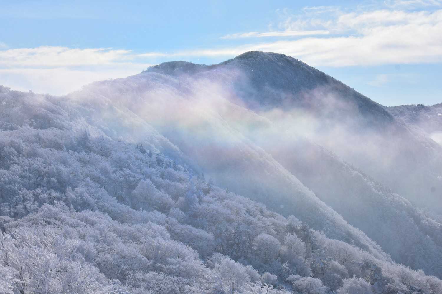 赤ゾレ山（三重・奈良・1304m）| 登山ルート・天気 | YAMAP / ヤマップ