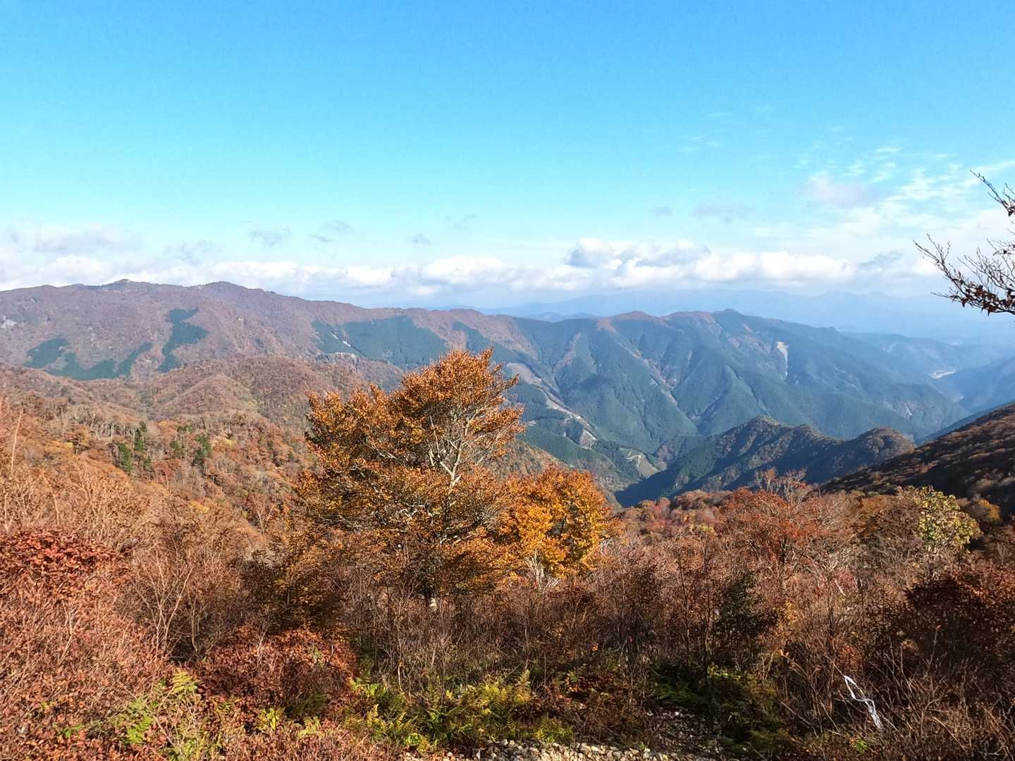 ここからの眺めが最高すぎる！