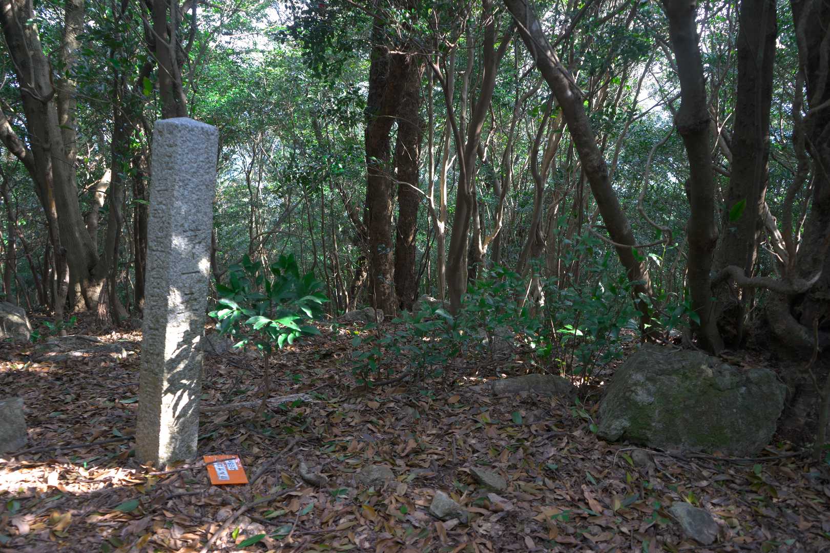 一座目「ワルサ山」
いろいろ調べましたが由来不明。