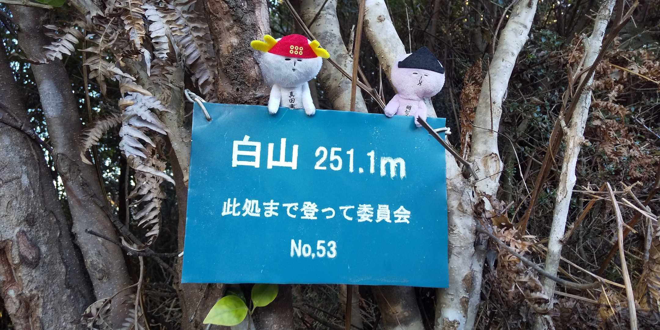 (;´Д`)ﾊｧﾊｧ

山口県ではお馴染みの「此処まで登って委員会」による山頂標識。