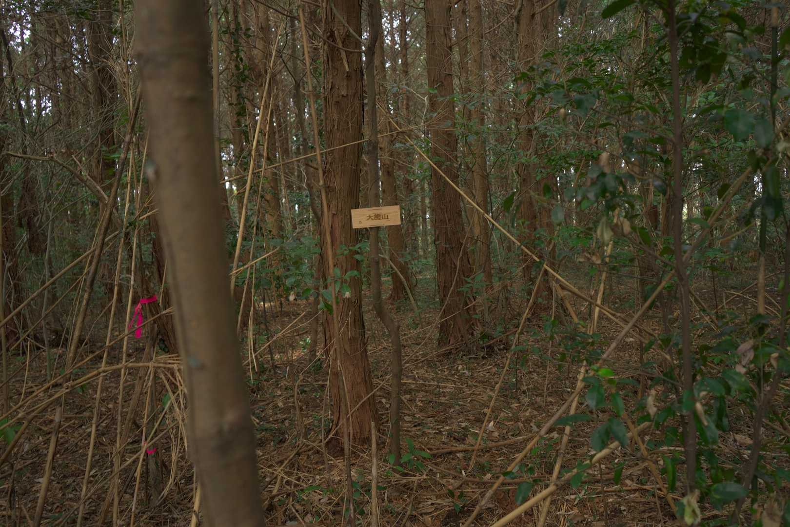 2座目「大熊山」