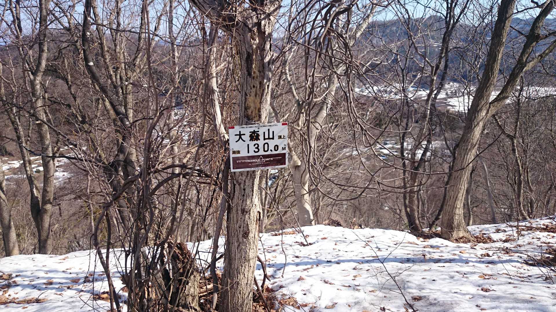 大森山🗻山頂❕