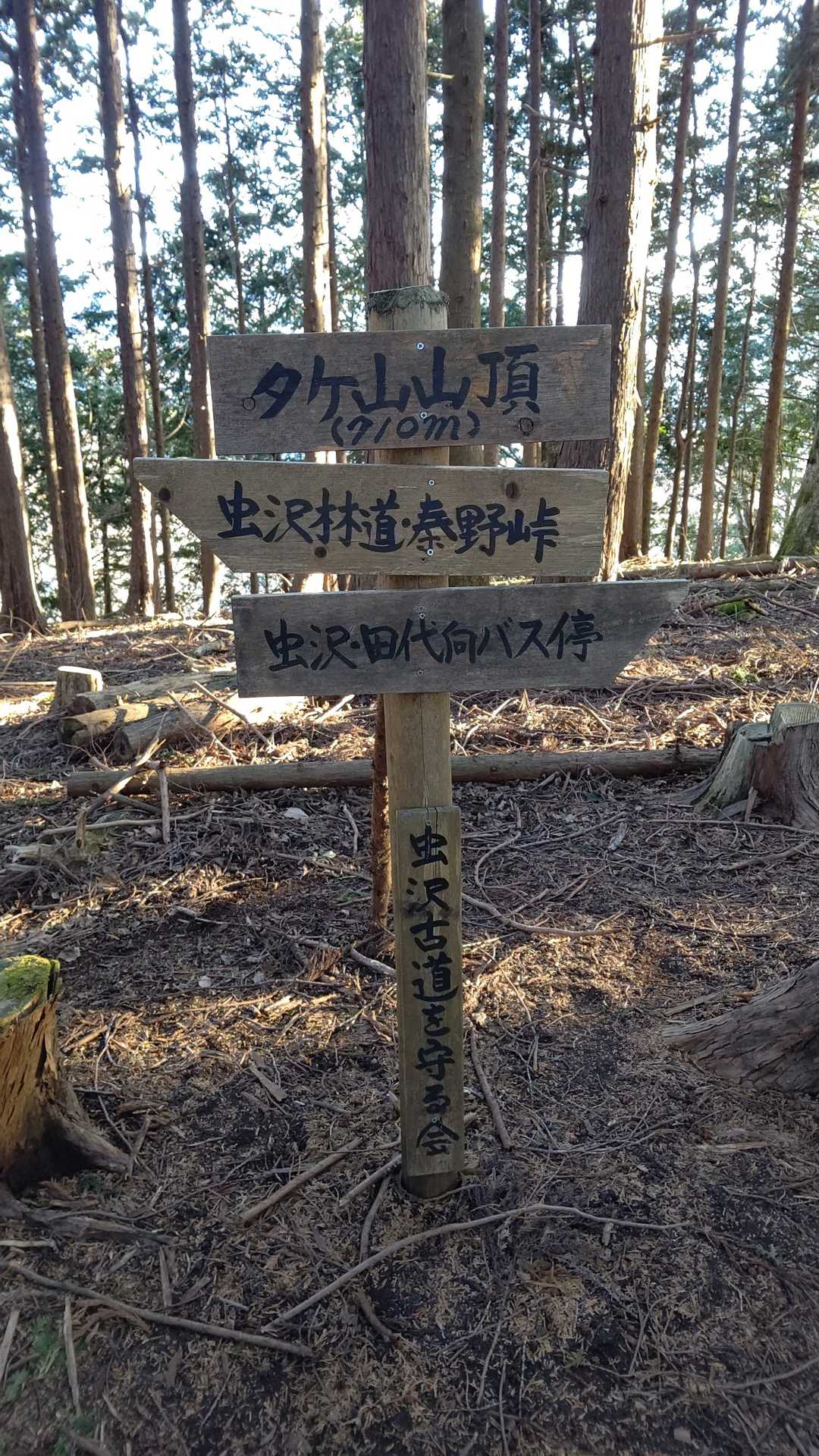 タケ山着。眺望なし。道はとても整備されていて、愛されている感がありました。