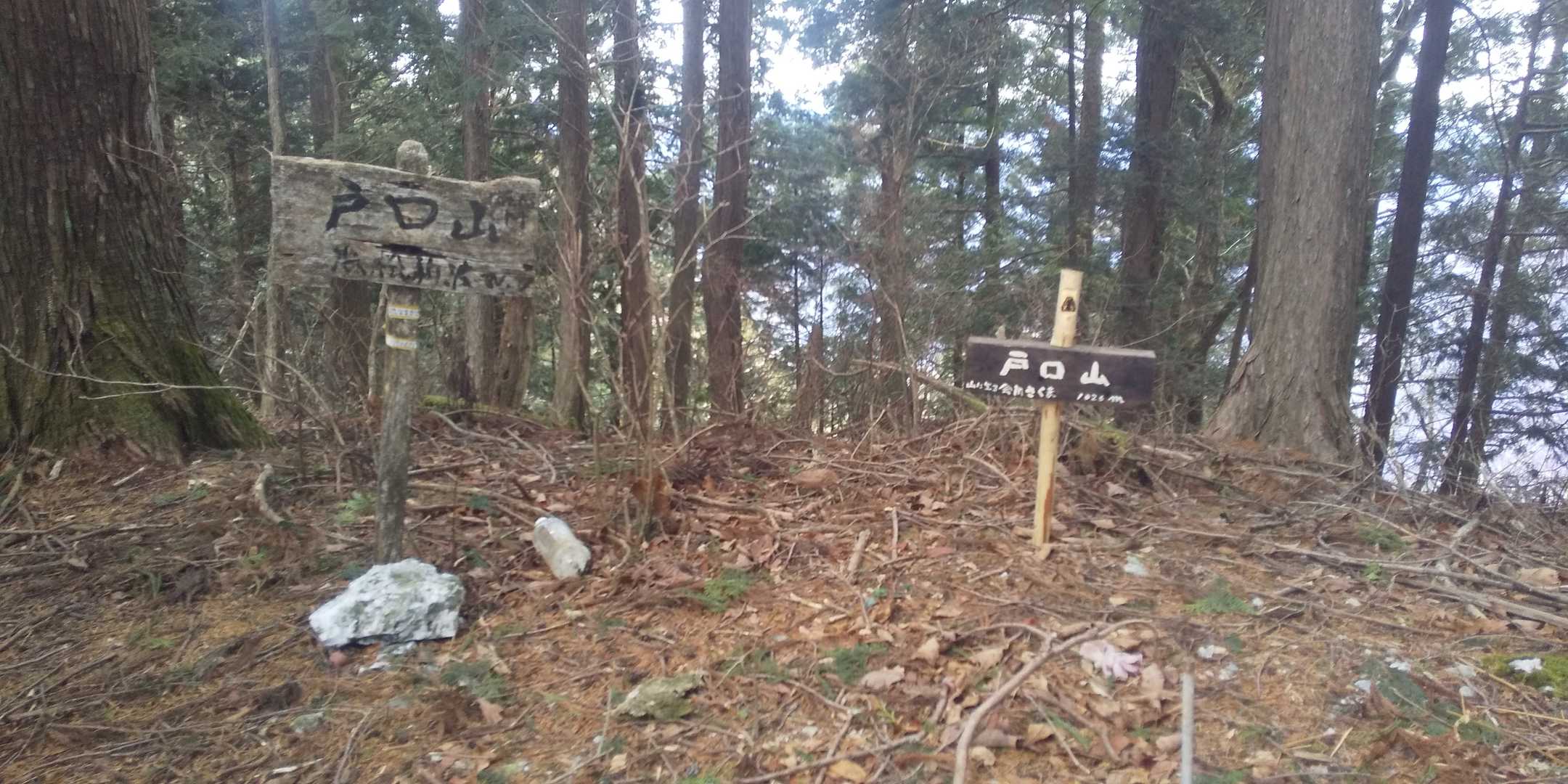 登山道が作業林道でメチャクチャになっているところもあったけど…
トグチヤマまで辿り着くことができた…