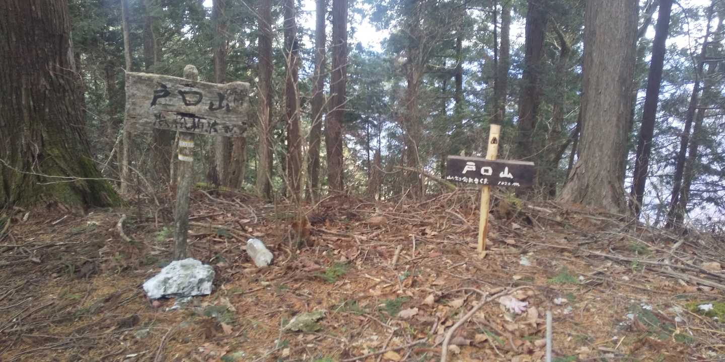 登山道が作業林道でメチャクチャになっているところもあったけど…
トグチヤマまで辿り着くことができた…
