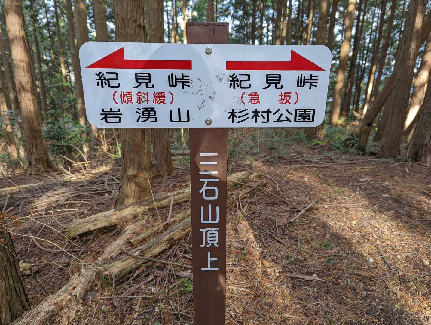 本来 ここでリーダーの休憩が終わるのを待つのが基本です。
でも、ここは🅱️同士…
パン『じゃ、ボチボチ先に行っときますね』
リーダー『ほい、ほい、』
（ほい、ほい、→ はい、はい、の意。😝
