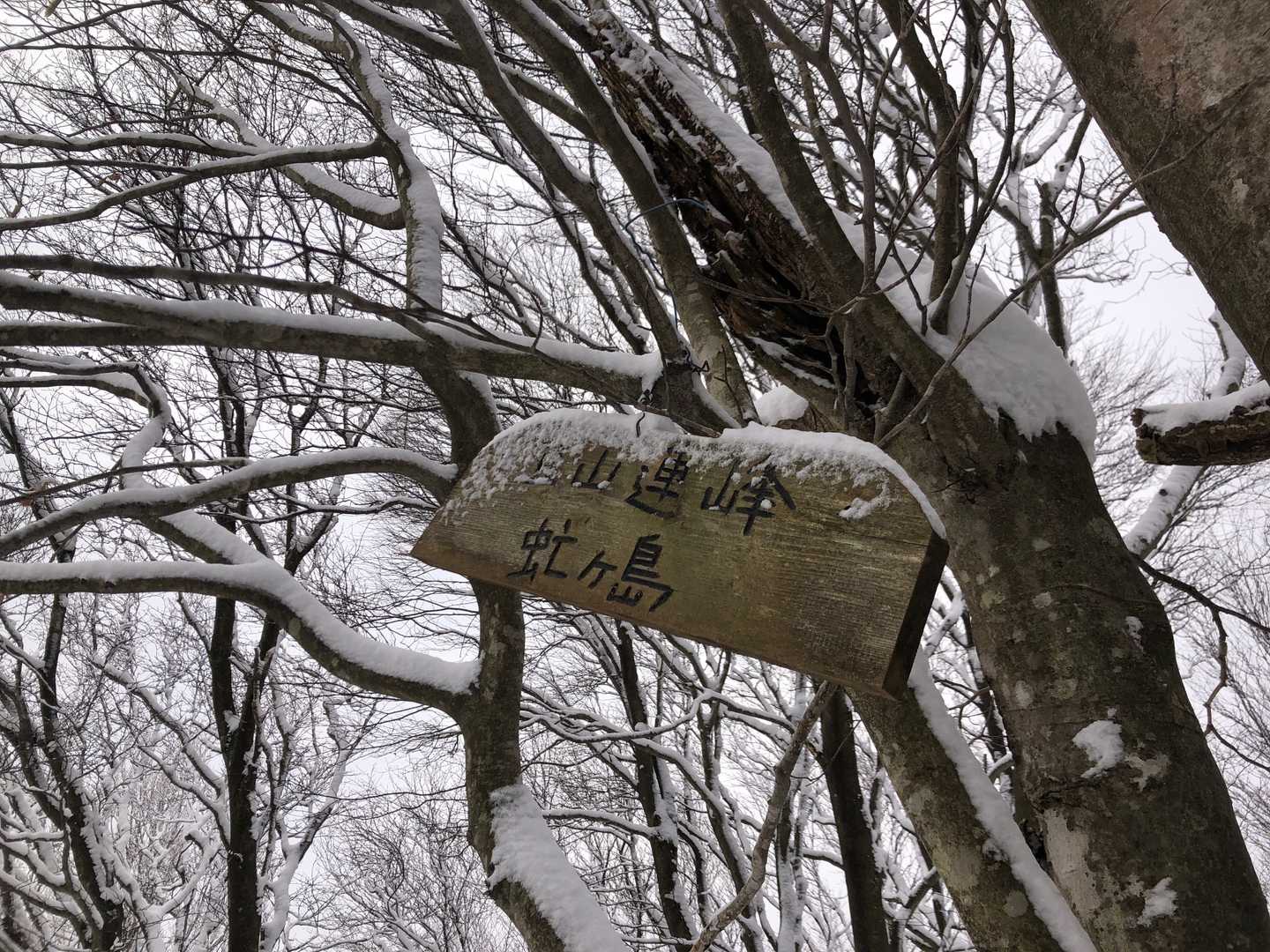 看板ついとる