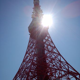 エンゼルフィッシュ