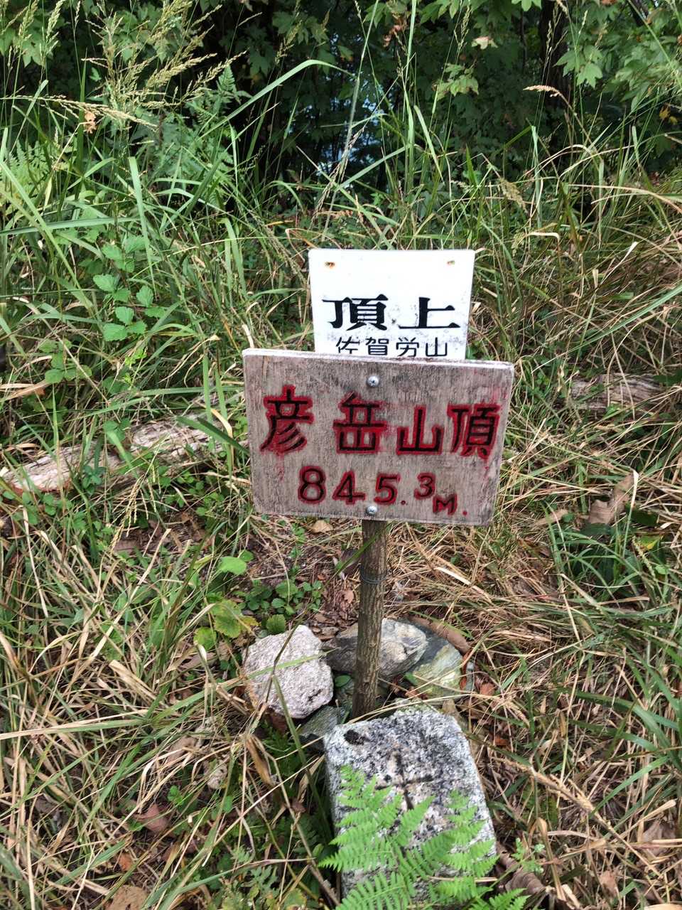 彦岳到着
眺望はありません