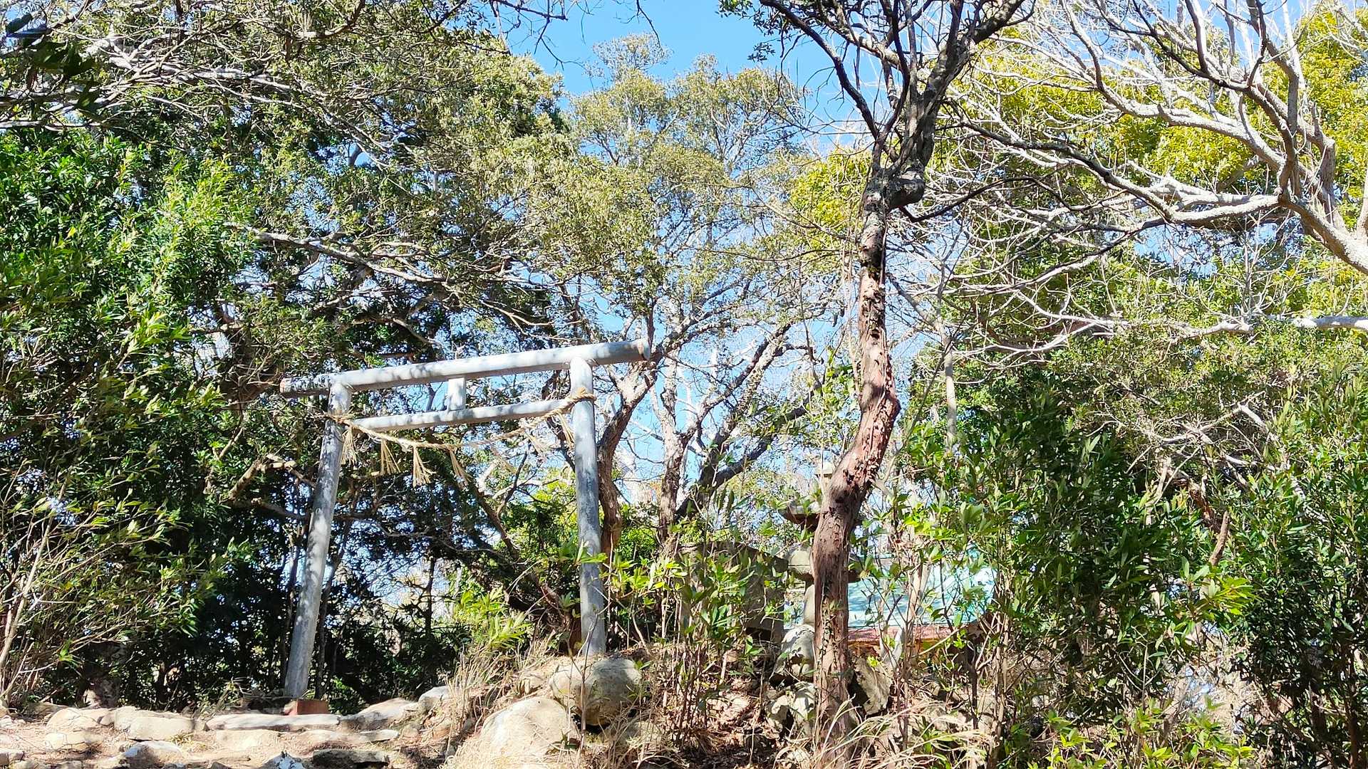 山頂に到着です。