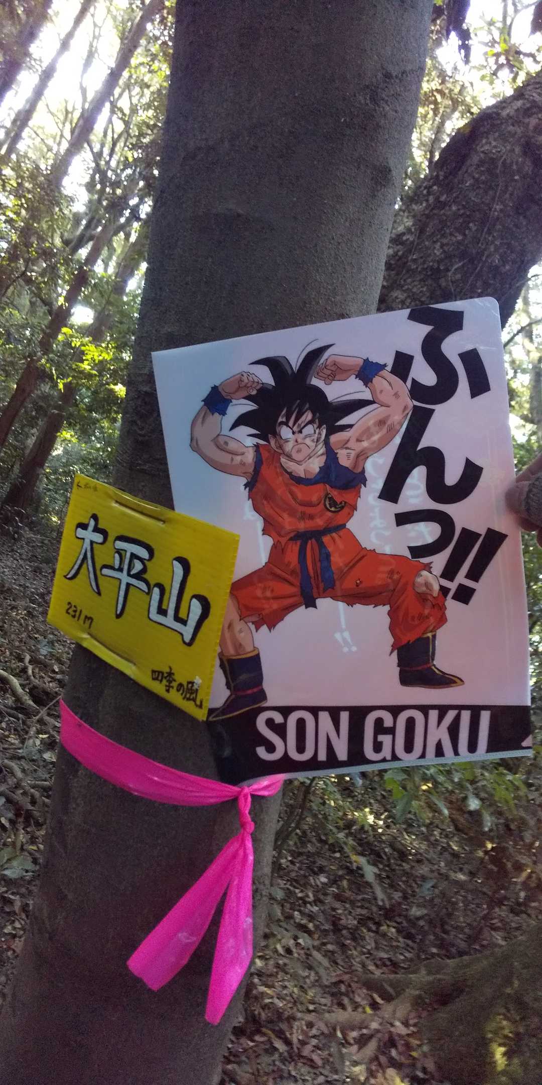宗像の太平山、ピークハント。