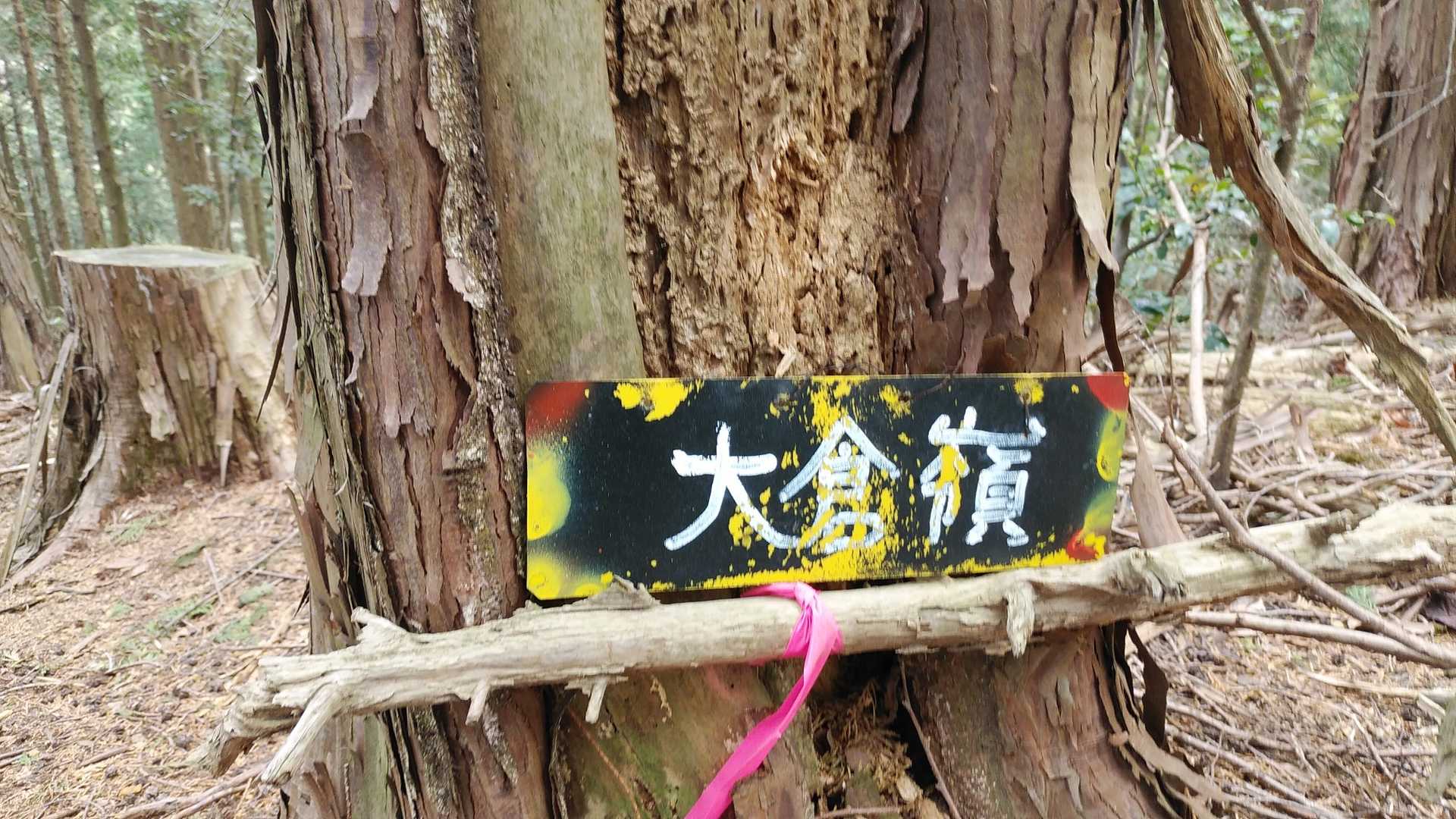 はい、着きました！
はいはい展望ありません、