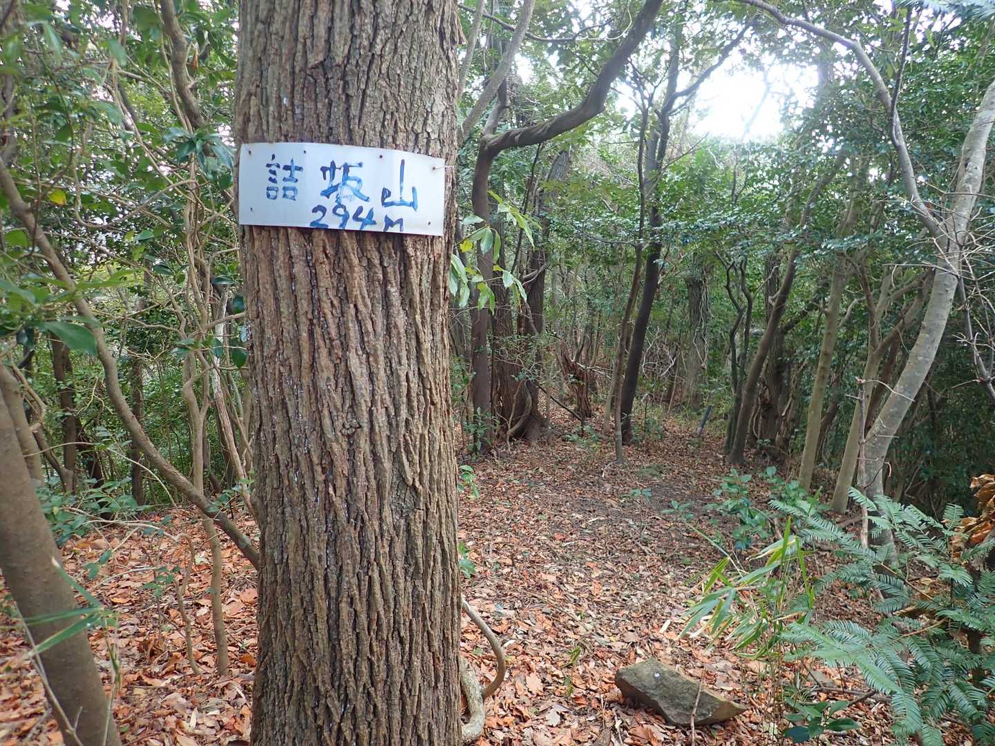 詰坂とうちゃく＼(^o^)／