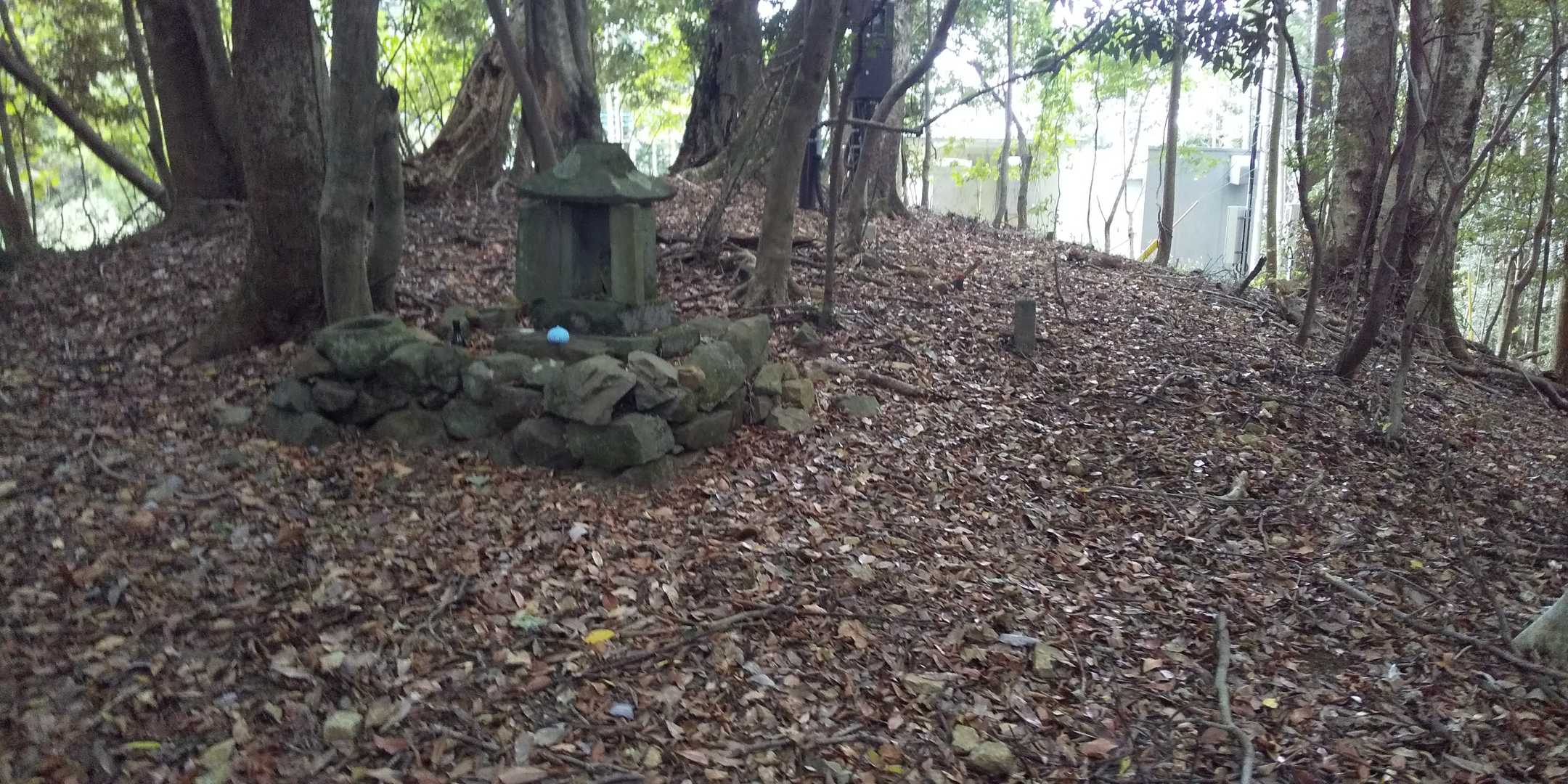 …おや？祠から何かしら青い物体が…

けんじの分身かっ？