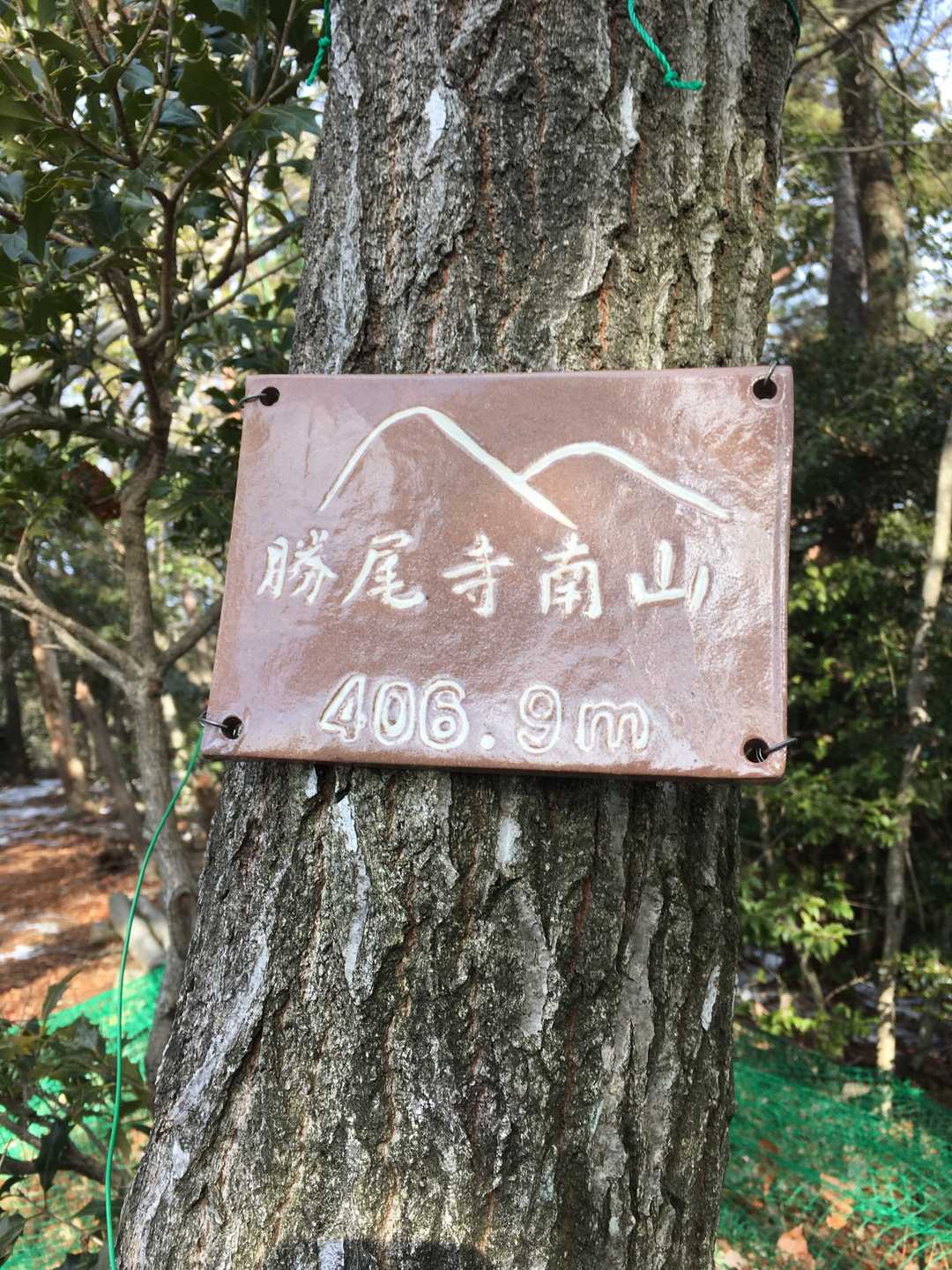 勝尾寺南山の写真