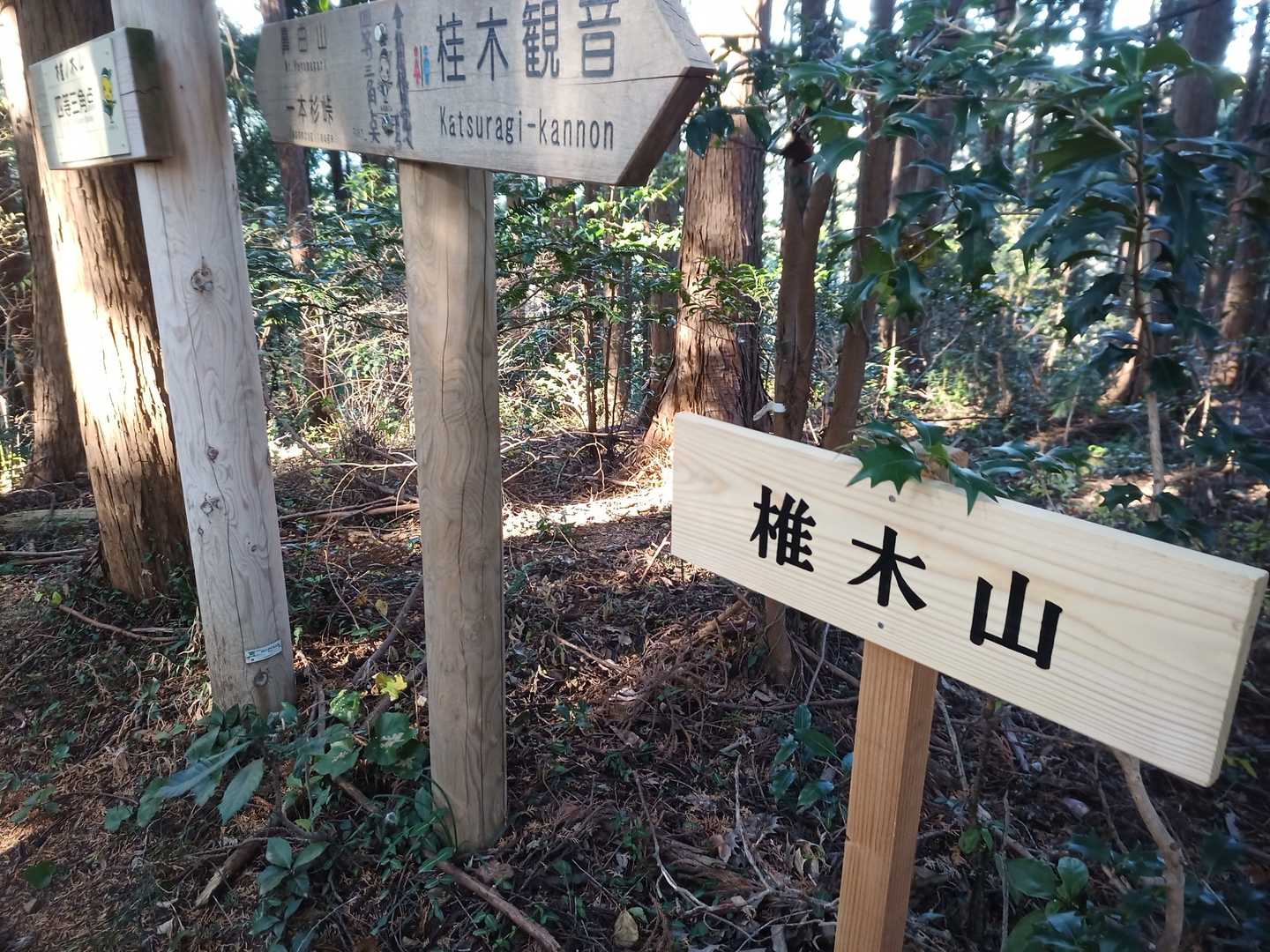 まず椎木山に着いた🤩✨
登山道、普通にありました！
なぜYAMAPにルート無いのだろう？
YAMAPに無い為か（そんな事も無いだろうが…）ハイカーは皆無でした😫　何かあるのでは無いかとドキドキしてました😅