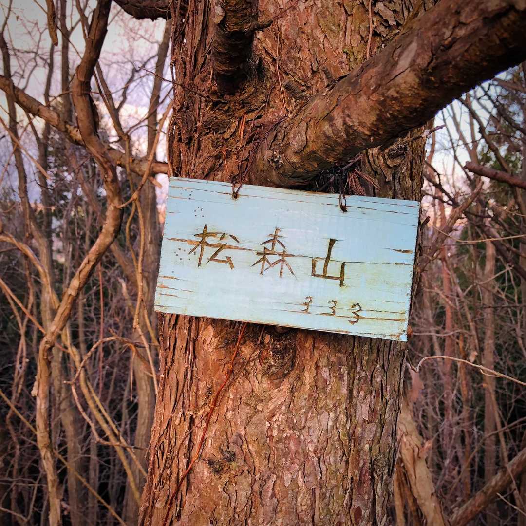 先程の広場からまた少し上がると山名板発見です。