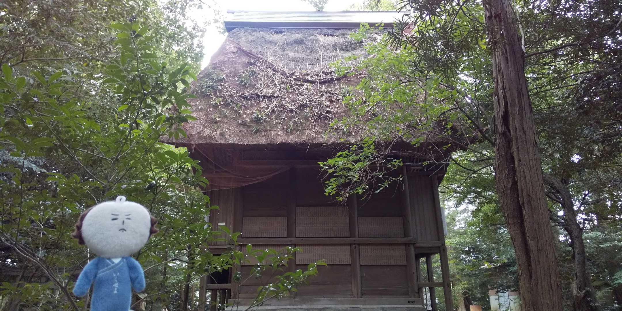 浅木神社は、retsuさんもおっしゃってましたが、神社本殿が『かやぶき屋根』です。
これまで、結構神社は見て来たつもりでしたが、かやぶき屋根は、初のお目にかかったかもしれません。