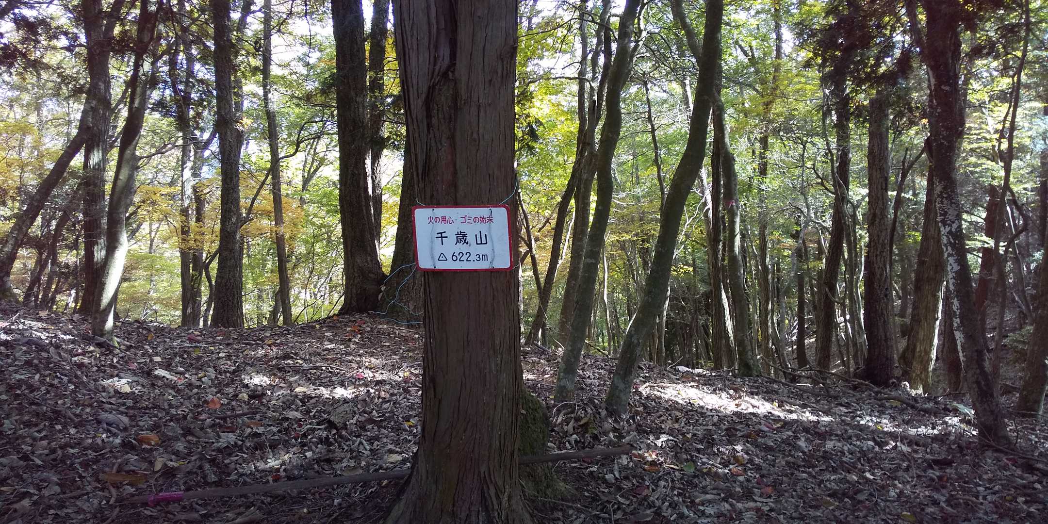 山頂表示、三角点は、ここ。この山の最高点にはありません。ちなみに、三角点は、三角測量の時の基準だから三角点ね。