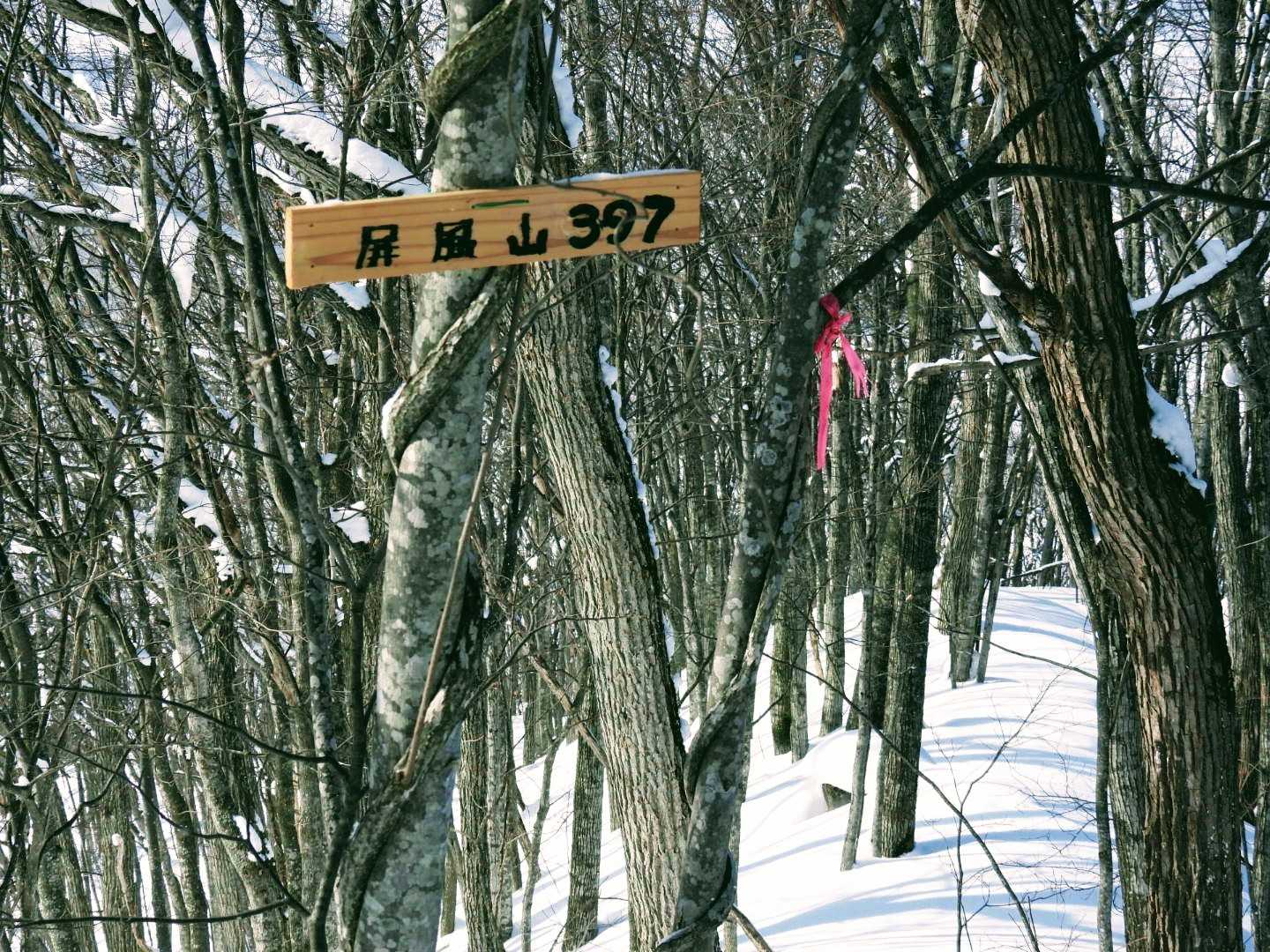 山頂💦
標識の作成者は 誰ですか？
ありがとうございます‼️