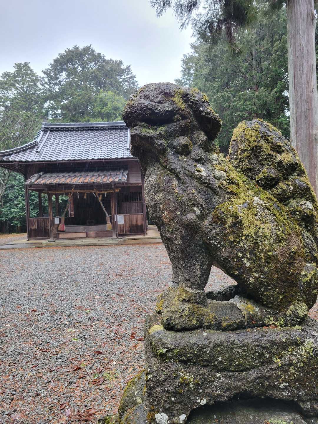愛宕護社と狛犬。
この奥辺りが山頂かな？🤔