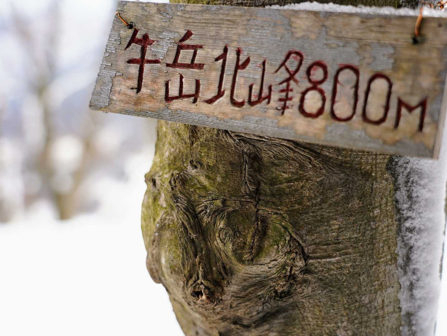 焼肉の日(8月29日)
