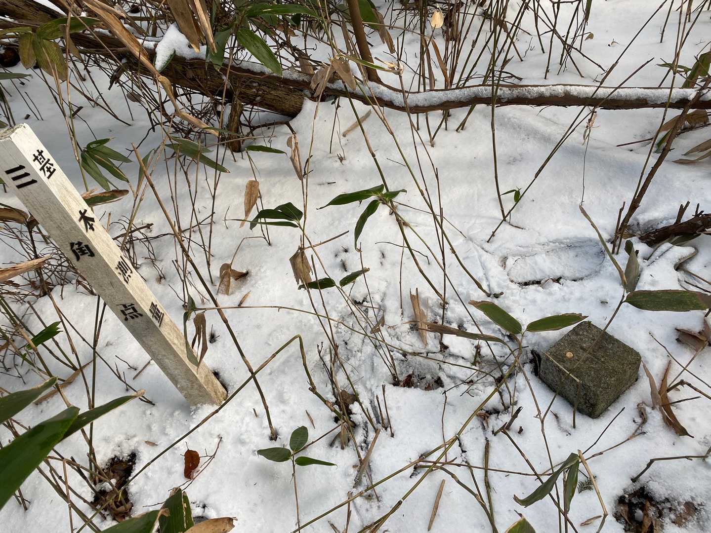 雪の中の三角点すぐに発見しました😊
なぜなら、その周りにたくさんの足跡があったから👣