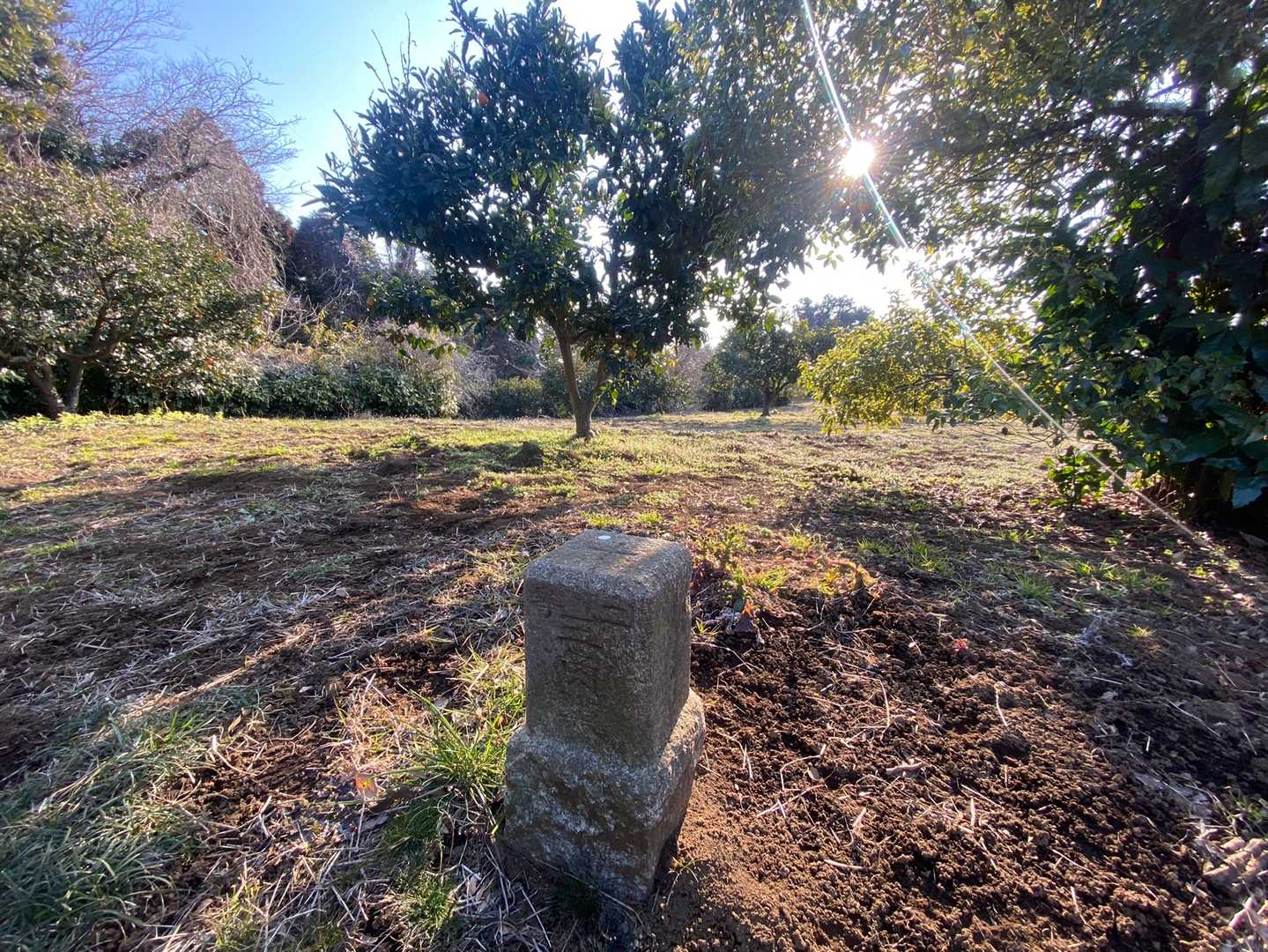 第2ランドマーク　高山
今回は12のピークを拾いながら歩きます。これといって特徴がないピークの画像は割愛いたします。こちらも三角点のみ😅
