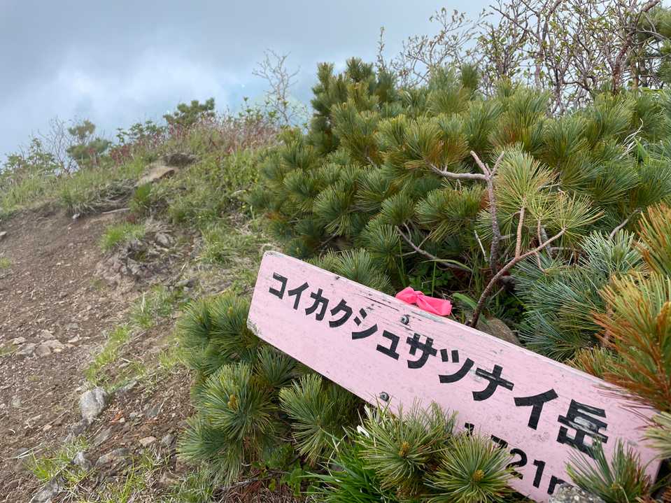 やったー🙌嬉しい😆
