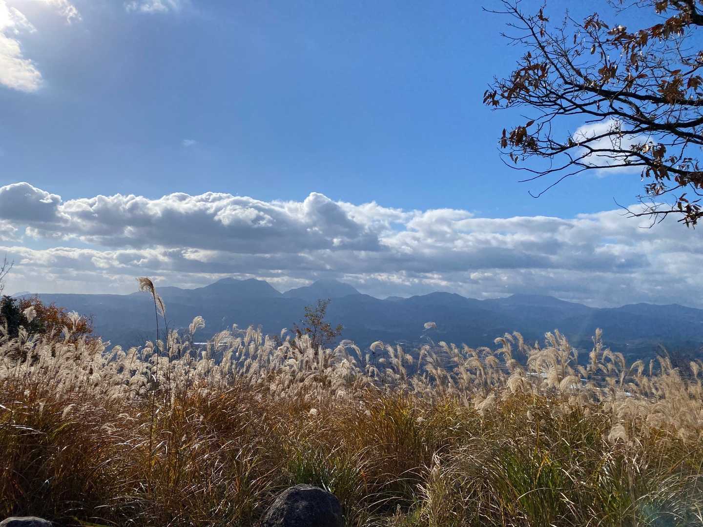 山頂から見えます‼️