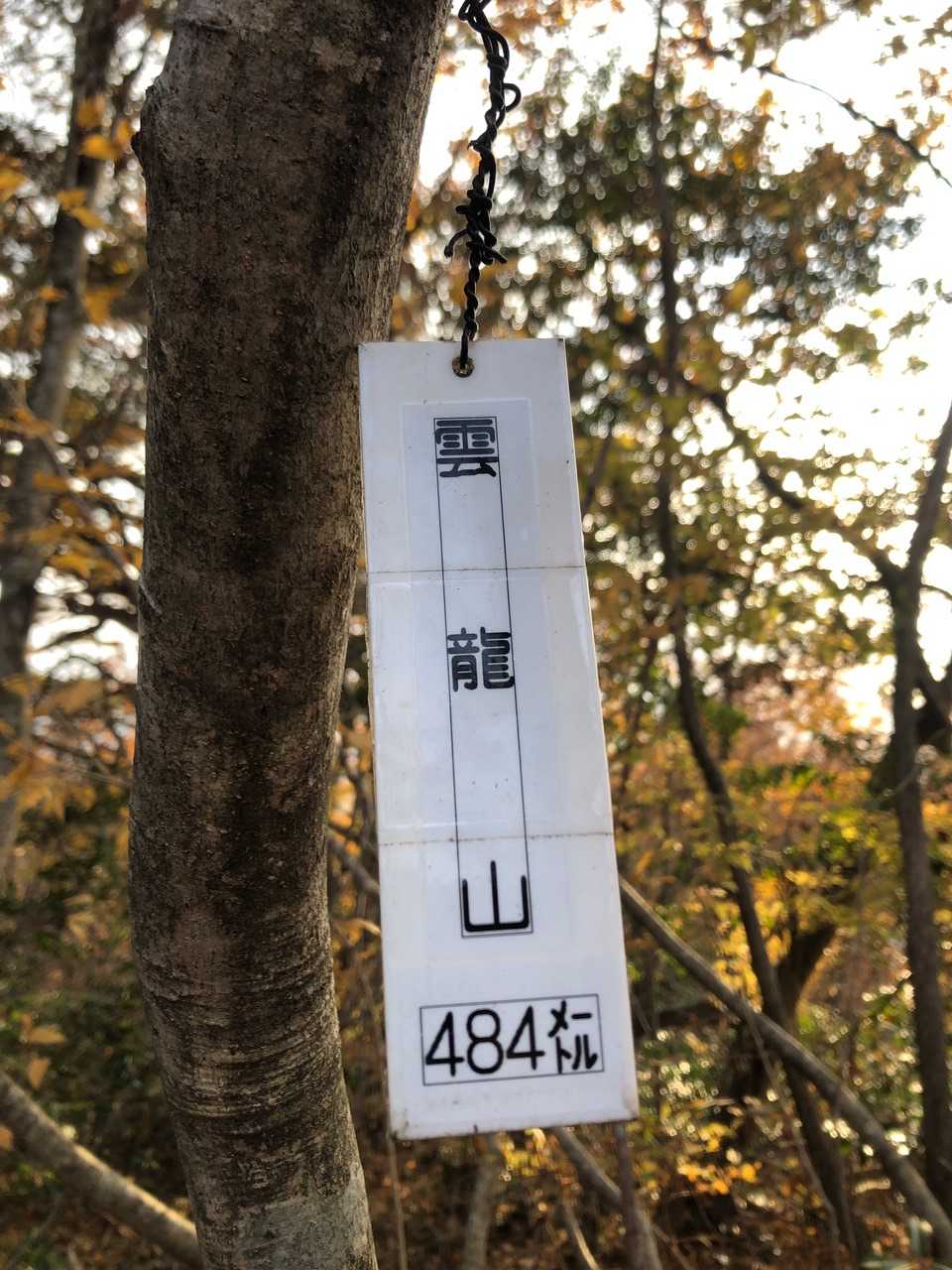 雲龍山の山頂
