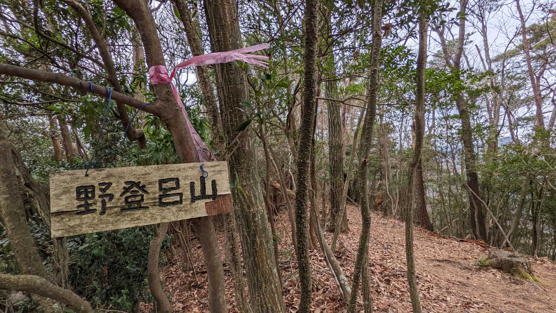 山頂⛰お久しぶり