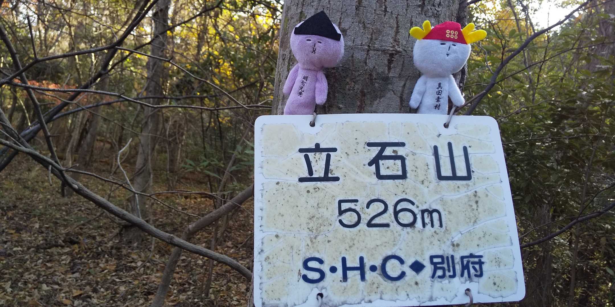 「立石山」
ピークハント٩ (  ｰ̀֊ｰ́ )و

裏別府で、けんじさんの元に行った「独眼竜」に代わり…

参勤交代で真田幸村  ここに参上‼️

さぁ、立ち上がれ！梅平和‼️