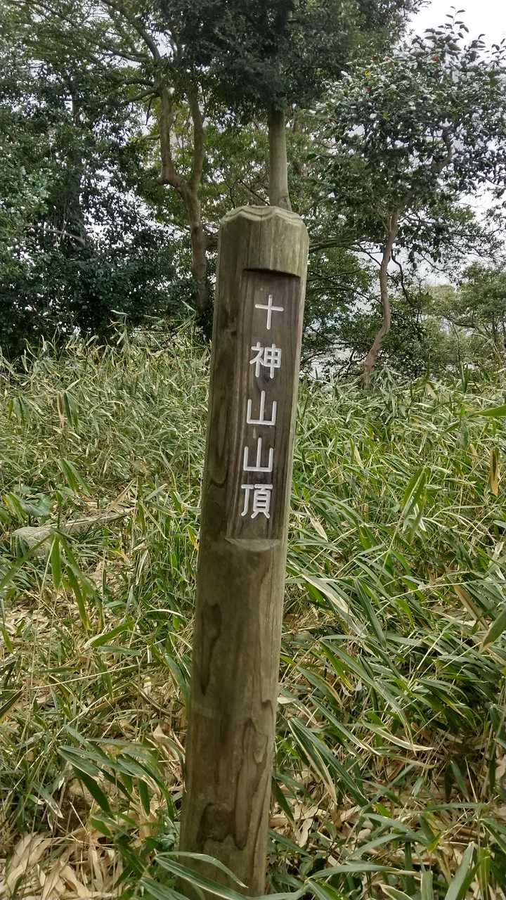 十神山山頂、大山も全く見えません