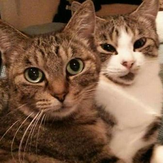 ☆S ∞MЯK★エリゴンズ