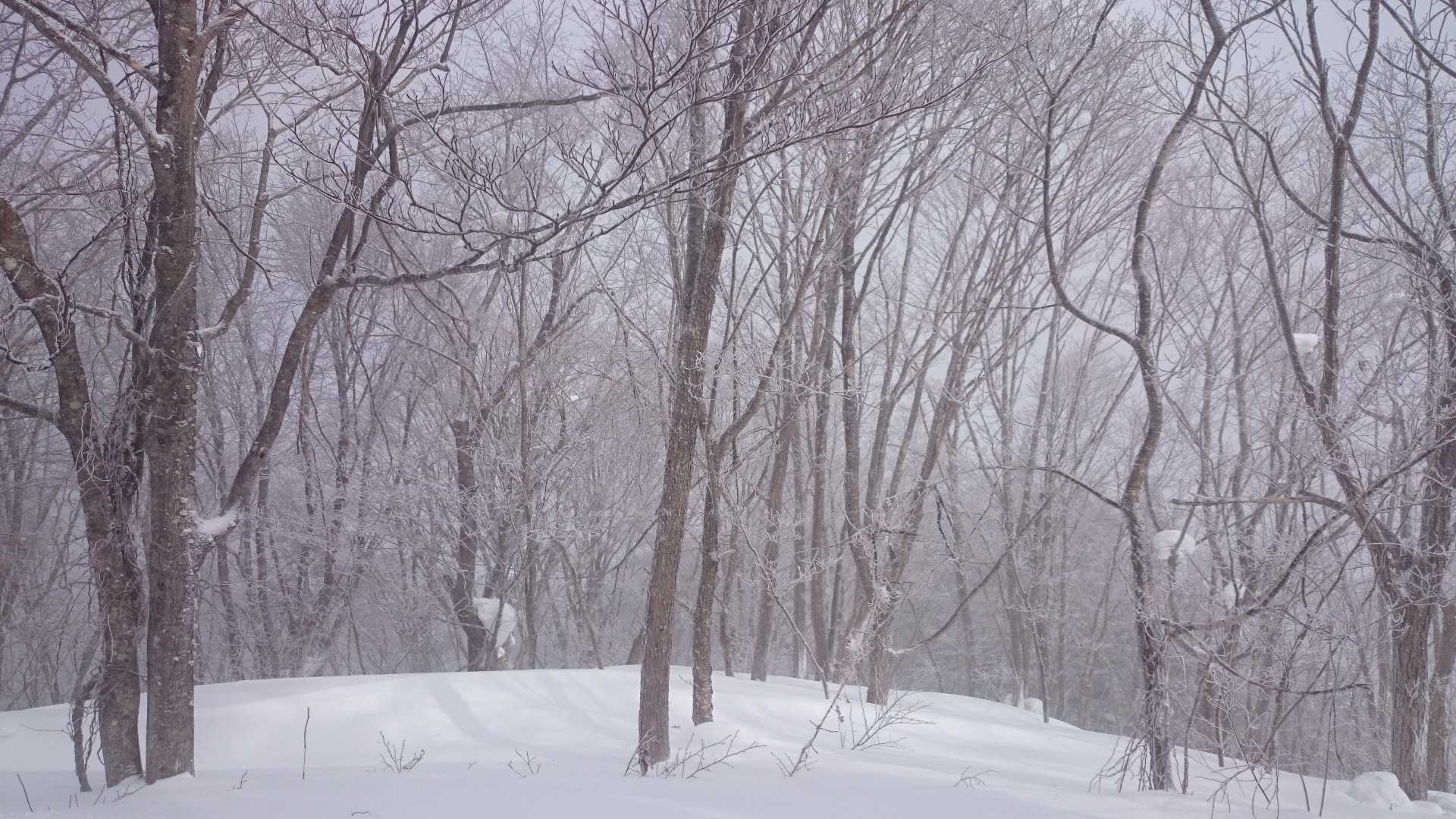 山頂🗻です❕