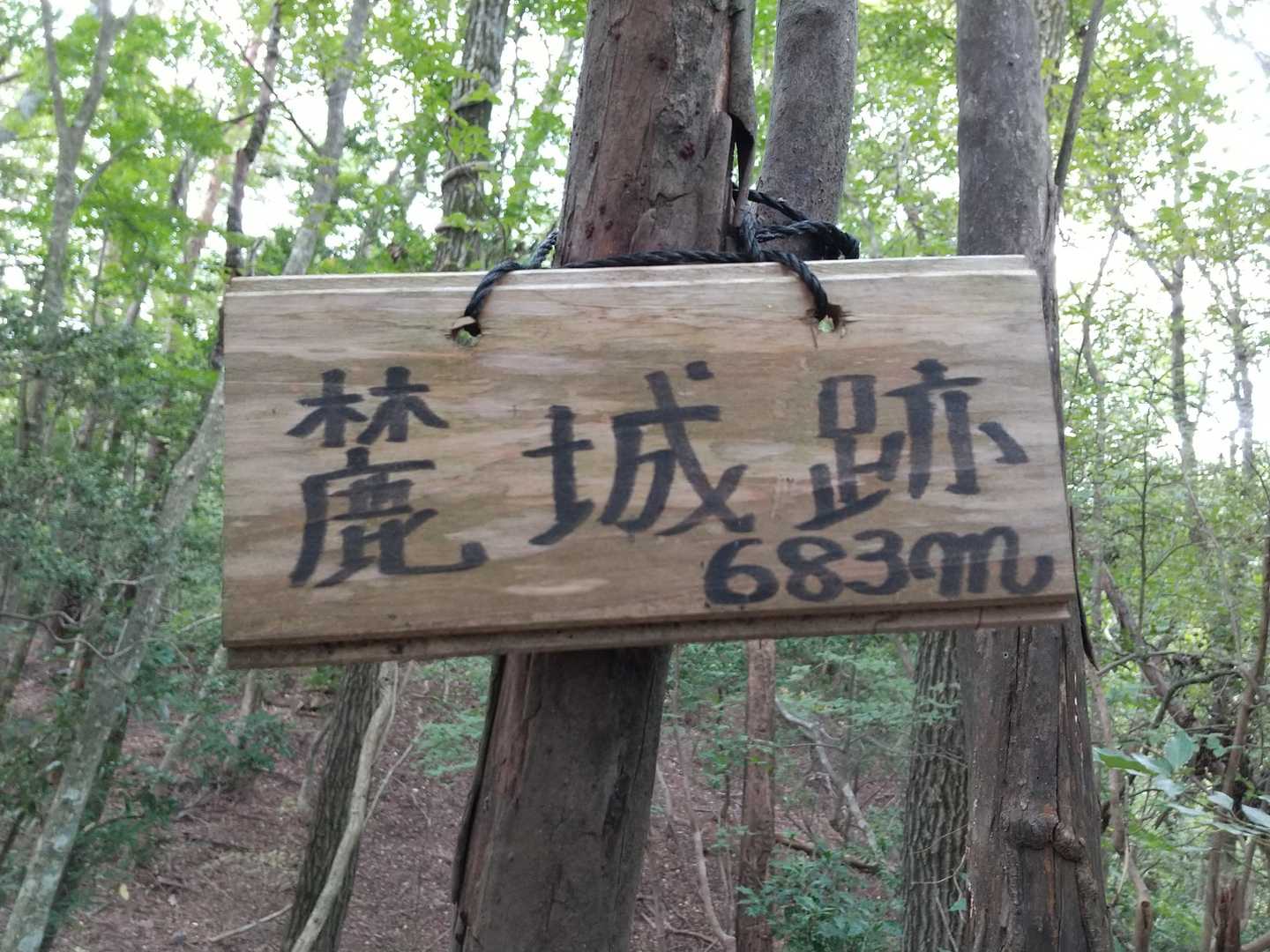 一段下ると「麓城跡　683ｍ」の標識。この辺りに五輪塔があったようですが解りませんでした。
※十門城 (とうとみじょう)址「重門城・麓城」　参考：城郭放浪記  
