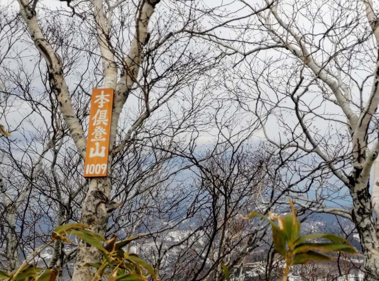 小さいといえば❕

小さかった私の可愛い甥っ子が
この春、中学生になりました👦🌸


（📷本倶登山山頂🎆）