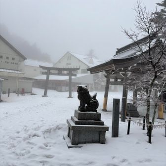 石鎚山（夜明峠のちょっと向こうまで） / MA_Uさんの石鎚山・堂ヶ森