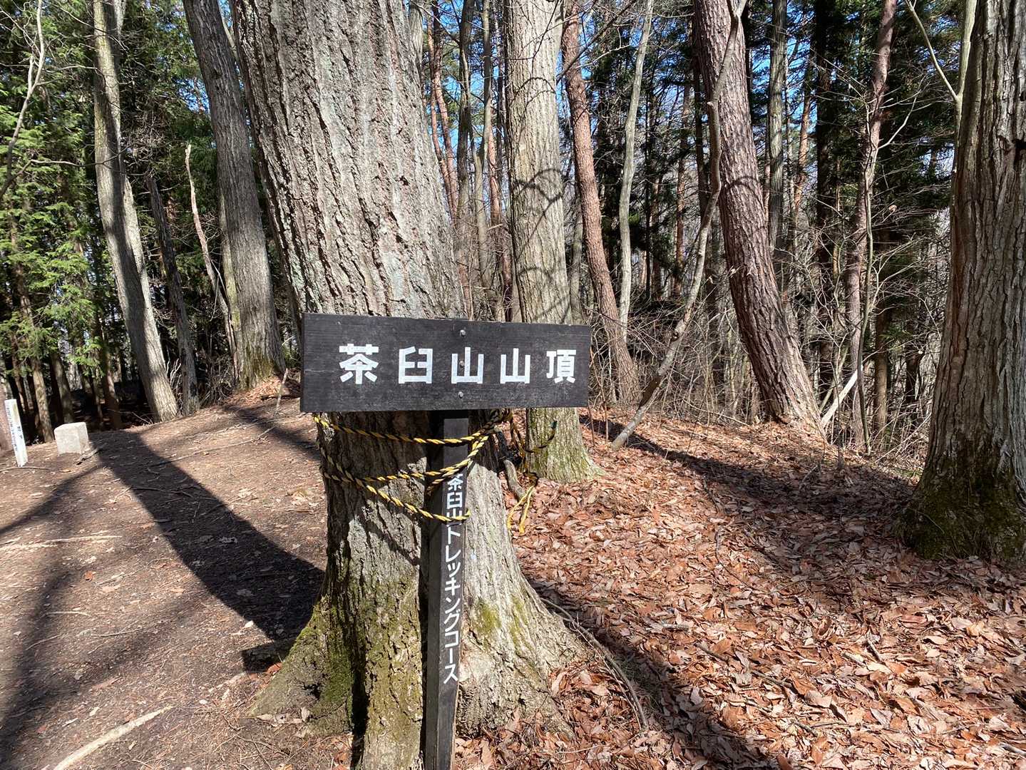 山頂に無事到着しました。
