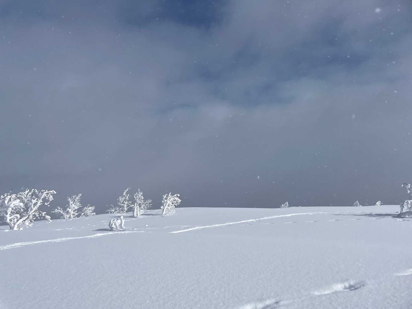 雪雲は40分毎に降ったり止んだり