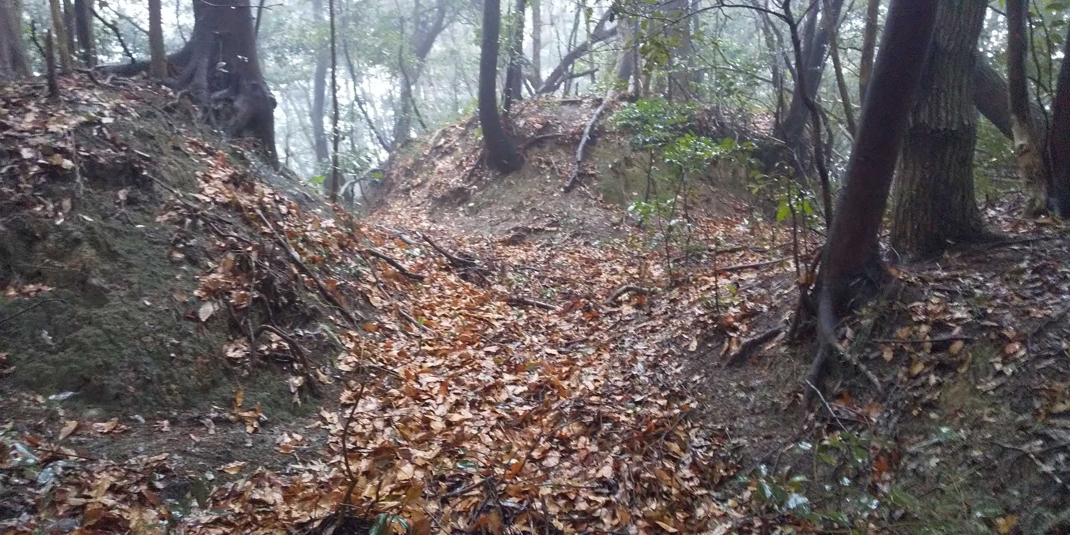 頂上をよくみると山城址のような横堀が見られますね。